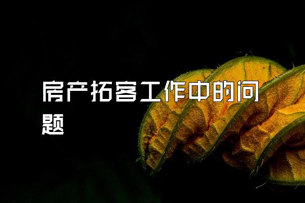 房产拓客工作中的问题