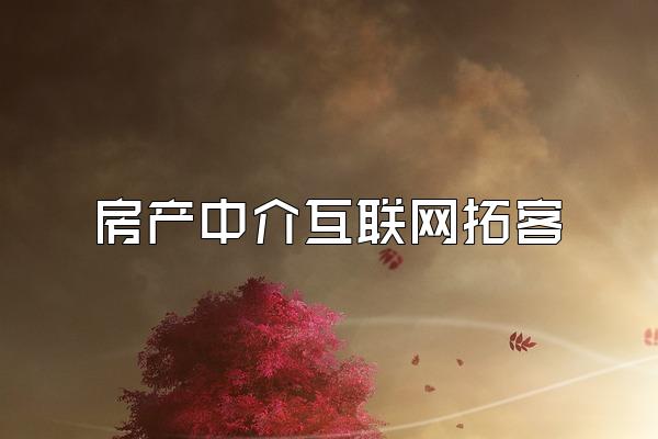 房产中介互联网拓客