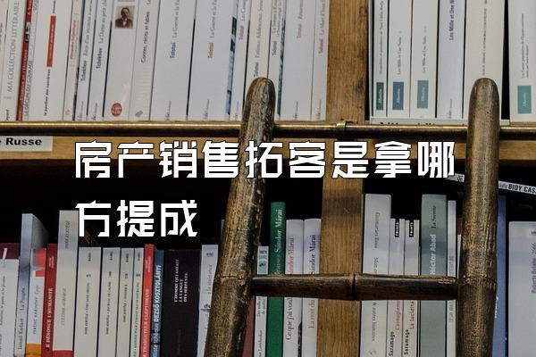 房产销售拓客是拿哪方提成