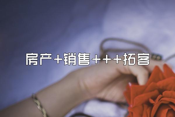 房产+销售+++拓客