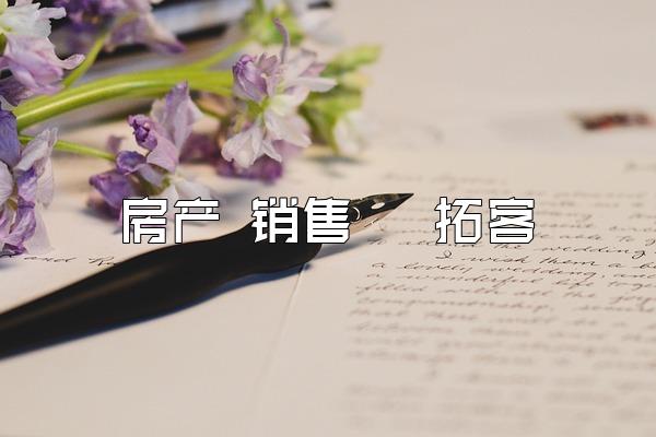 房产 销售   拓客