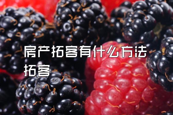 房产拓客有什么方法拓客