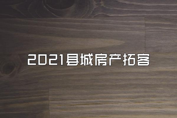 2021县城房产拓客