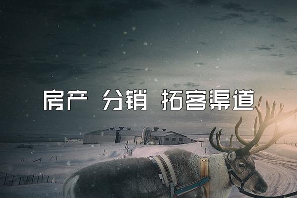 房产 分销 拓客渠道