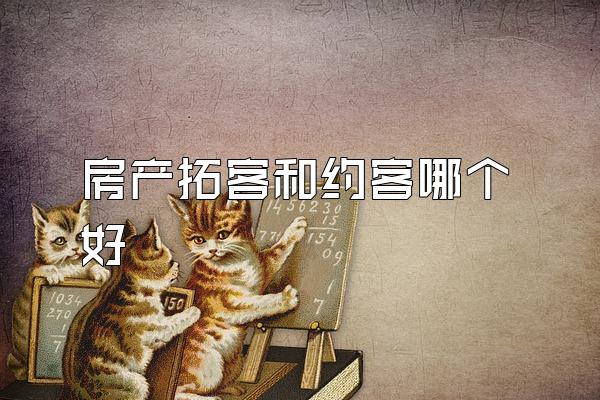 房产拓客和约客哪个好