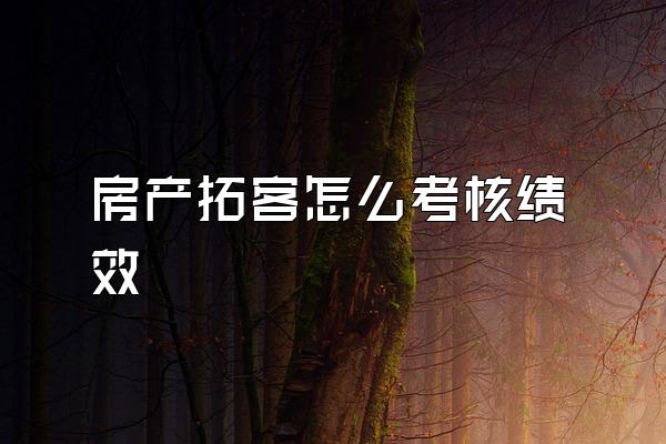 房产拓客怎么考核绩效