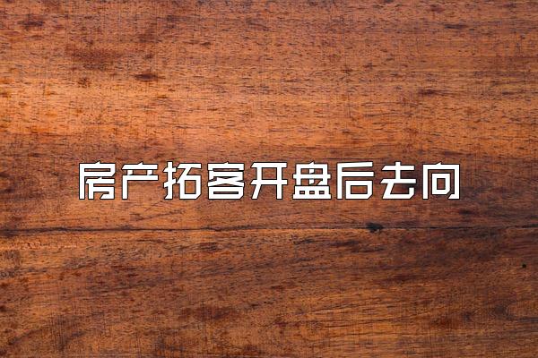 房产拓客开盘后去向
