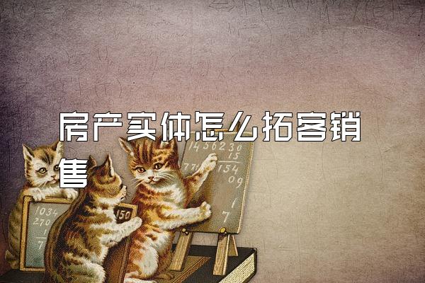 房产实体怎么拓客销售