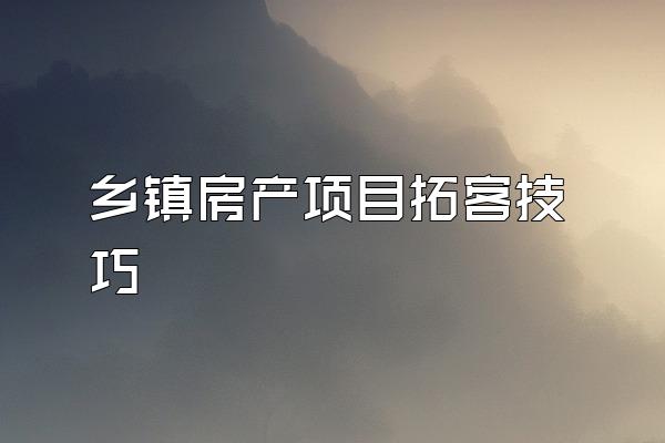 乡镇房产项目拓客技巧