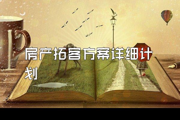 房产拓客方案详细计划