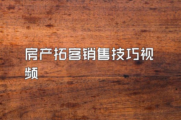 房产拓客销售技巧视频