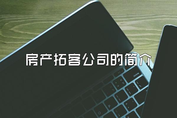 房产拓客公司的简介