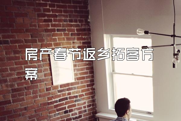 房产春节返乡拓客方案
