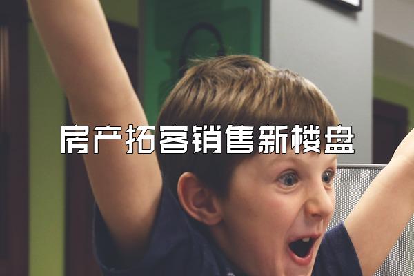 房产拓客销售新楼盘