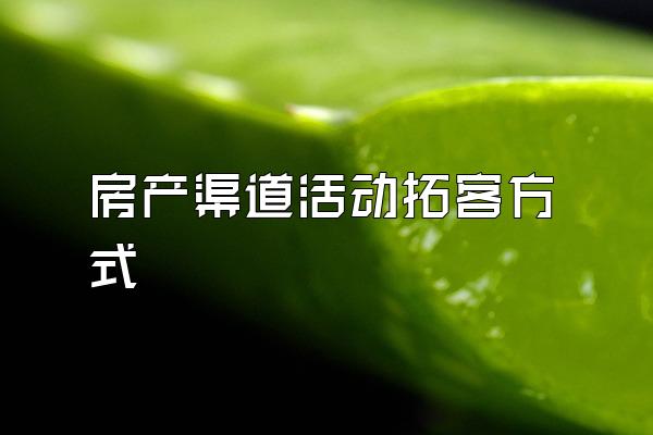 房产渠道活动拓客方式