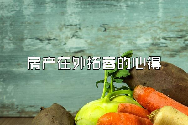 房产在外拓客的心得