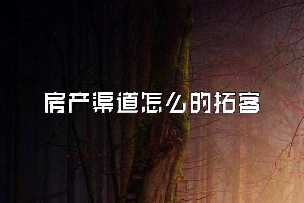 房产渠道怎么的拓客