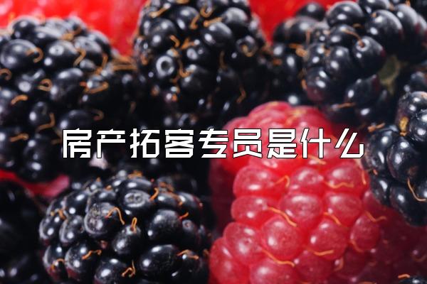 房产拓客专员是什么