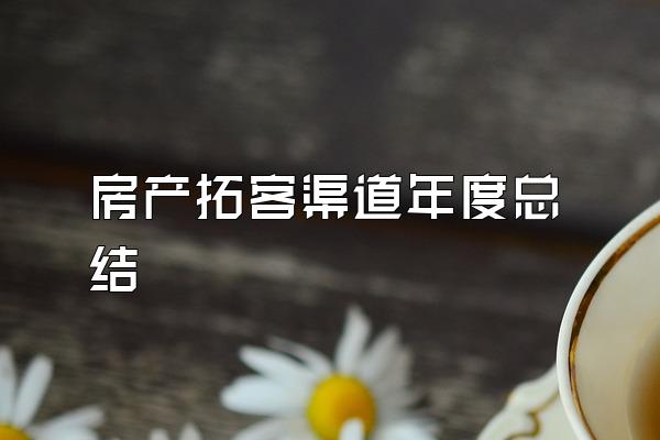 房产拓客渠道年度总结