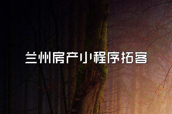 兰州房产小程序拓客