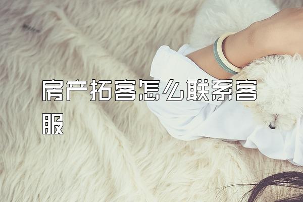 房产拓客怎么联系客服