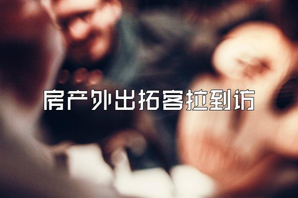 房产外出拓客拉到访