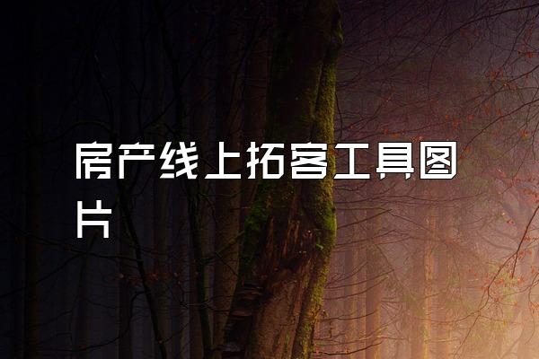房产线上拓客工具图片
