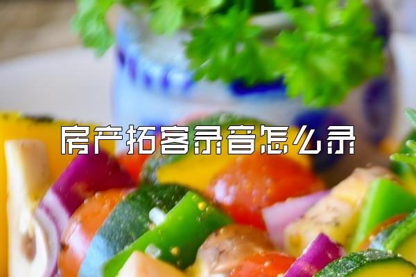 房产拓客录音怎么录