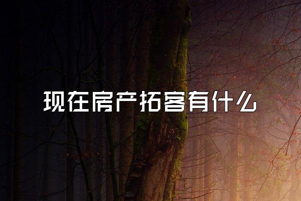 现在房产拓客有什么
