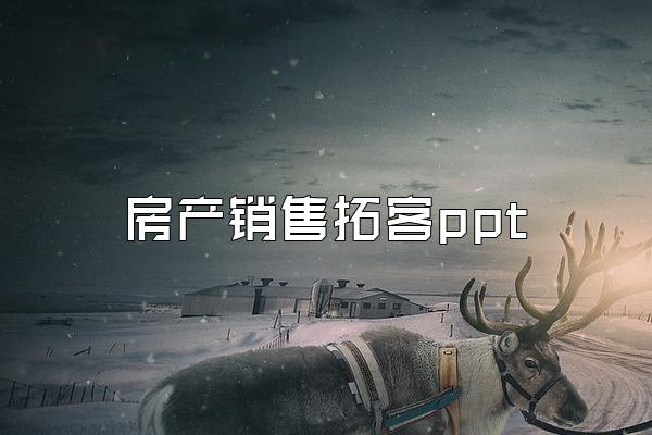 房产销售拓客ppt