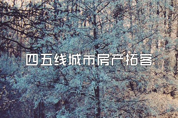 四五线城市房产拓客