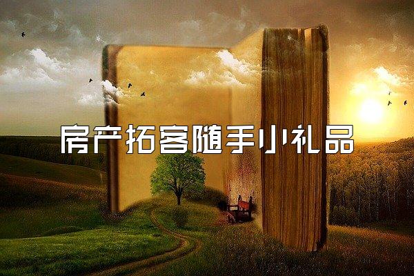房产拓客随手小礼品