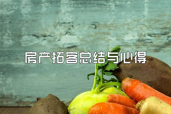 房产拓客总结与心得