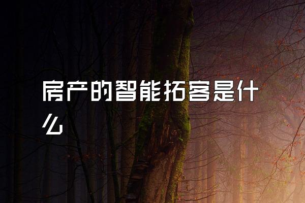 房产的智能拓客是什么