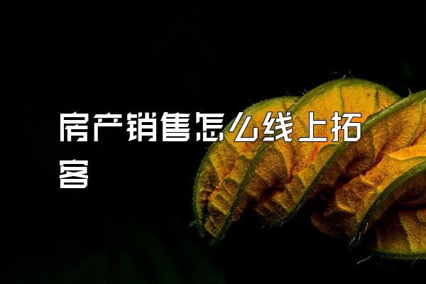 房产销售怎么线上拓客