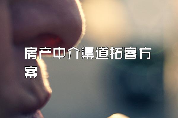 房产中介渠道拓客方案