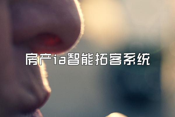 房产ia智能拓客系统