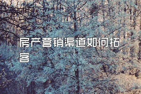 房产营销渠道如何拓客