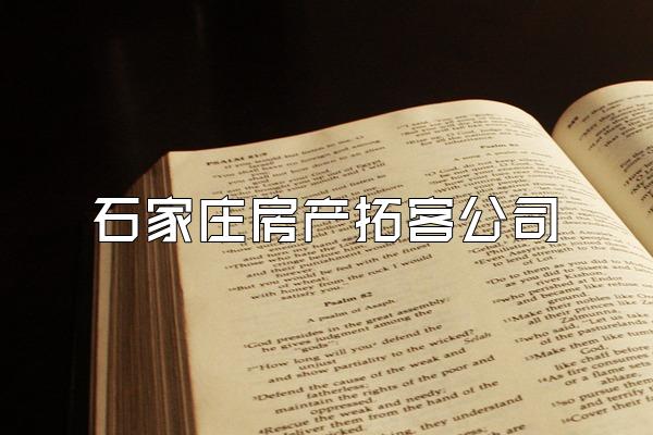 石家庄房产拓客公司