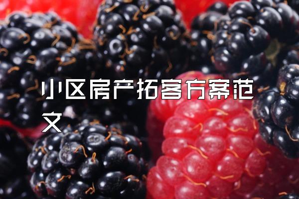 小区房产拓客方案范文