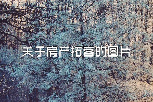 关于房产拓客的图片