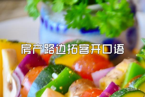 房产路边拓客开口语