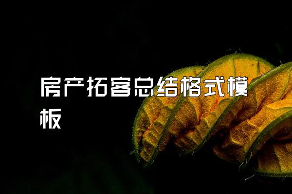 房产拓客总结格式模板