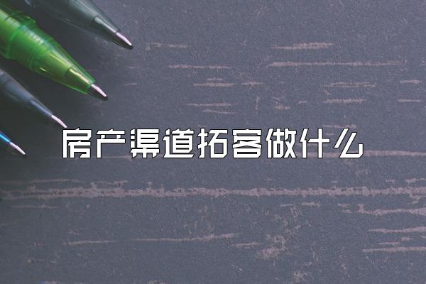 房产渠道拓客做什么