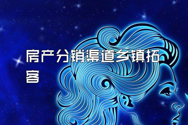 房产分销渠道乡镇拓客