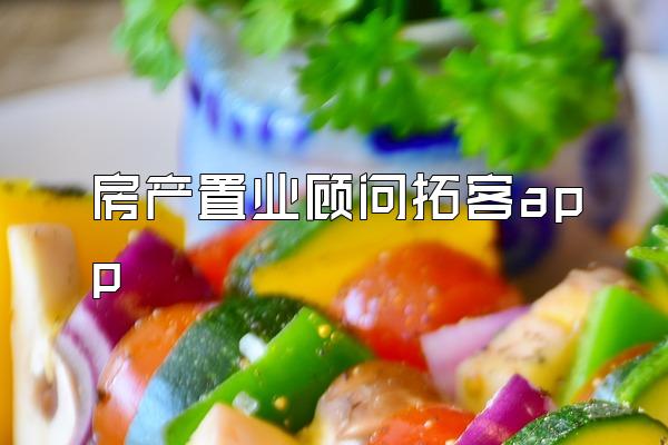 房产置业顾问拓客app