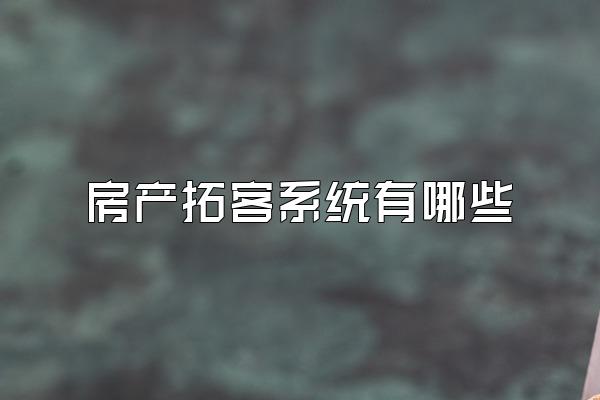 房产拓客系统有哪些