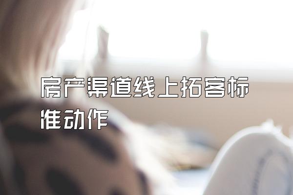 房产渠道线上拓客标准动作