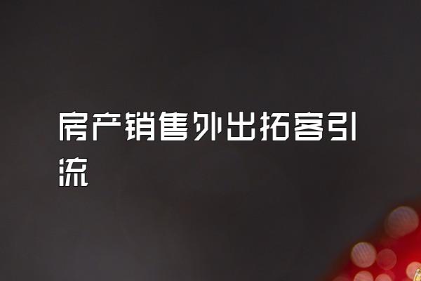 房产销售外出拓客引流