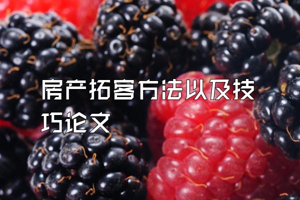 房产拓客方法以及技巧论文